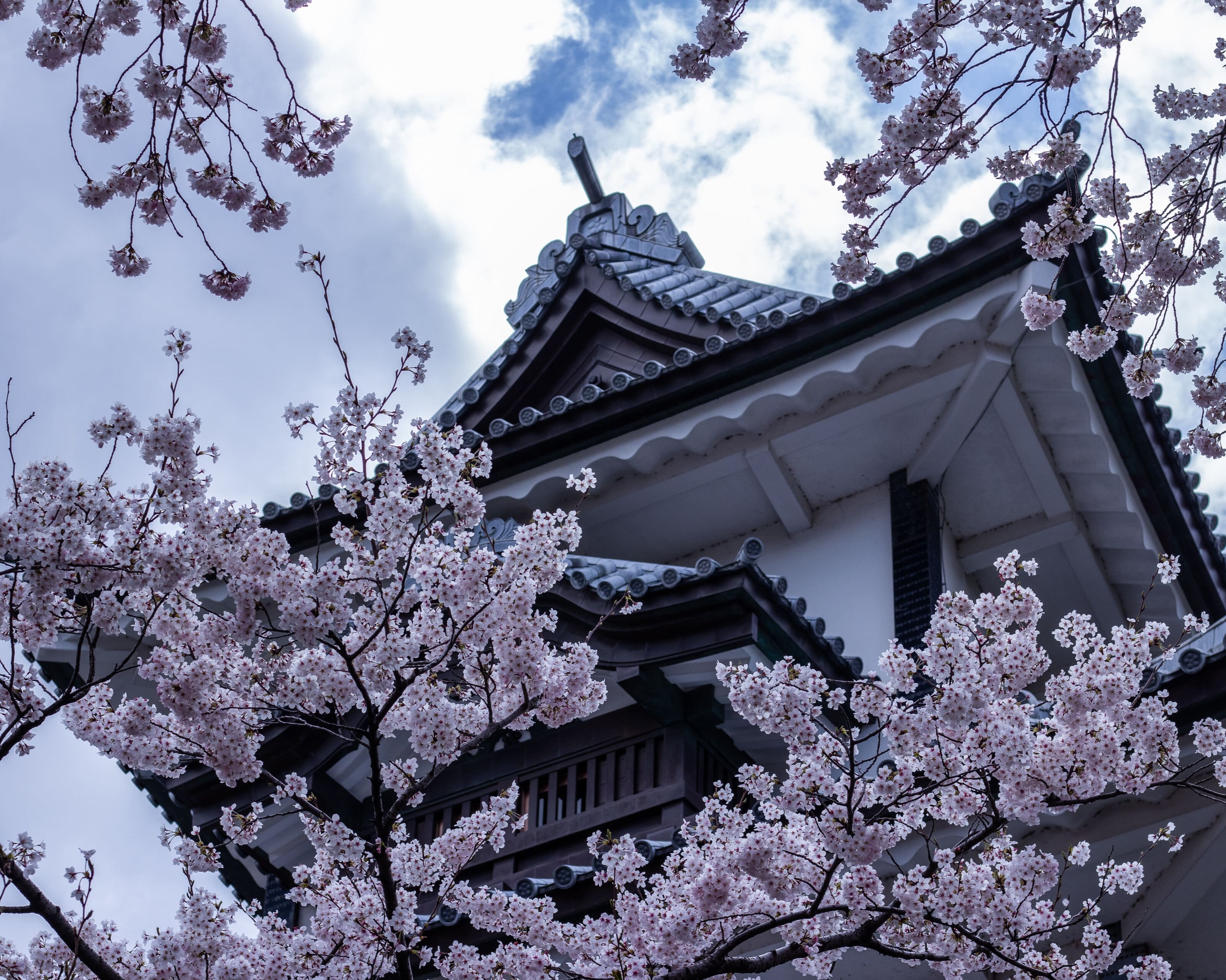 Japón esencial con Maldivas (viaje en privado)